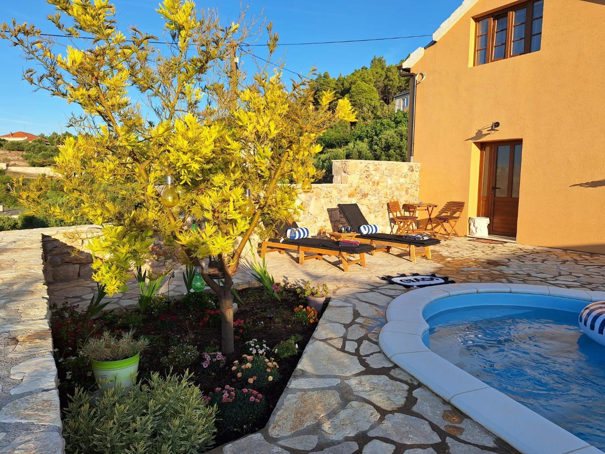 Vila House 